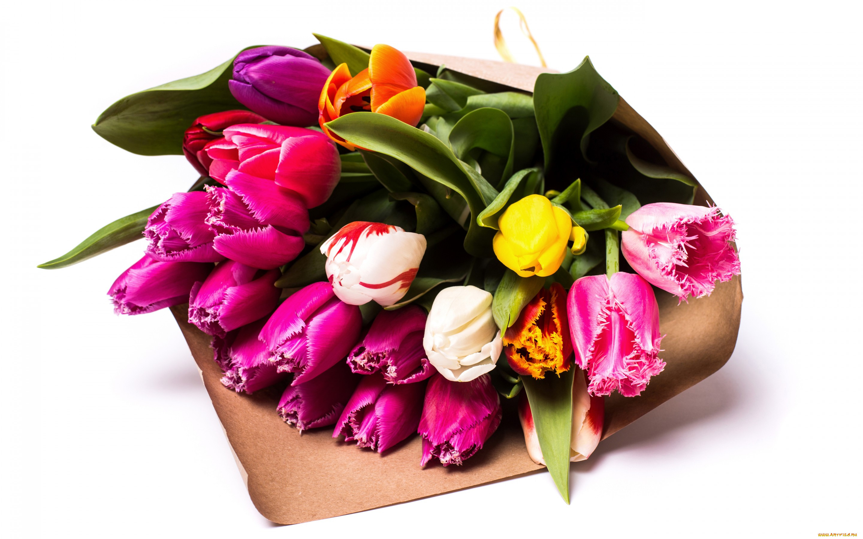 , , , color, tulips, bouquets